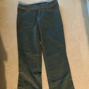 Garnet Hill Corduroy Pants 8p